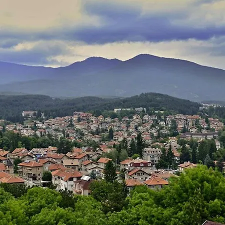 Olympic With Free Parking 3* 벨린그래드