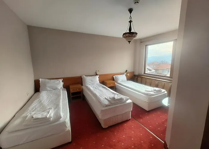 Olympic With Free Parking Konukevi 3*