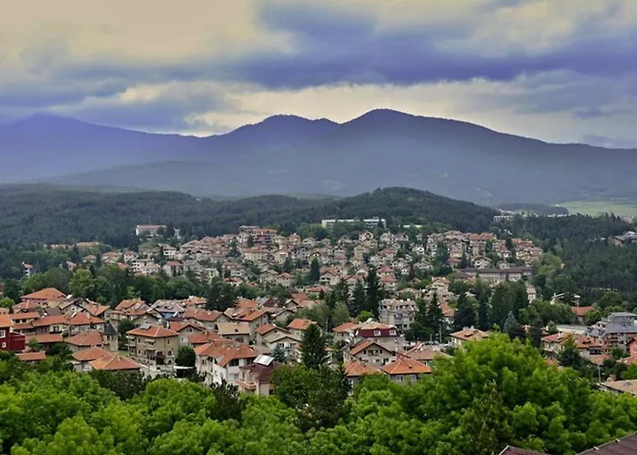 Olympic With Free Parking 3* Velingrad