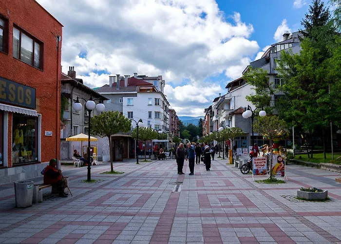 Olympic With Free Parking Konukevi Velingrad